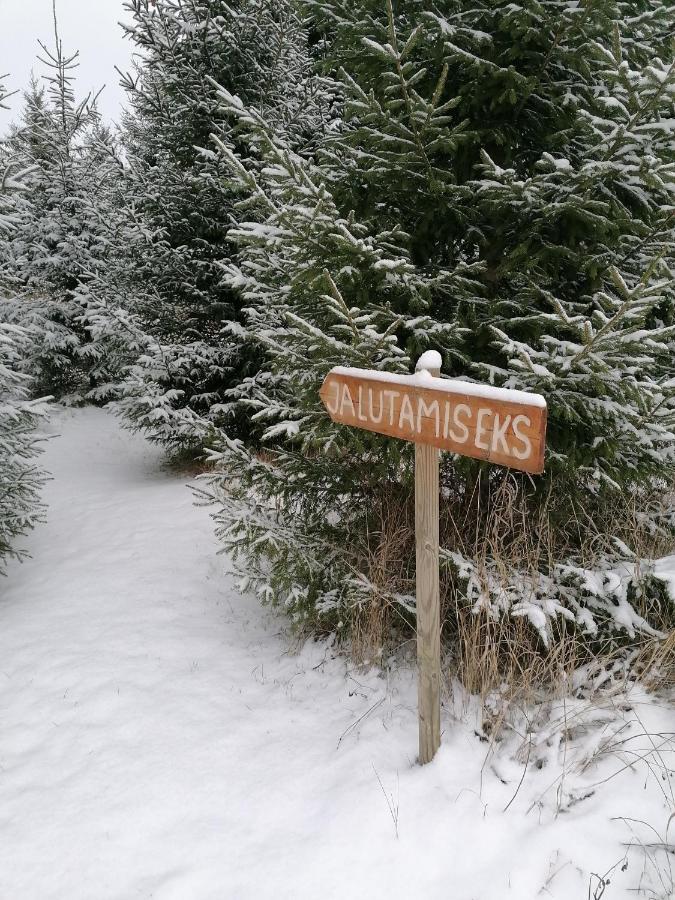 ホテル Kuusehaldja Glamping Kohila エクステリア 写真