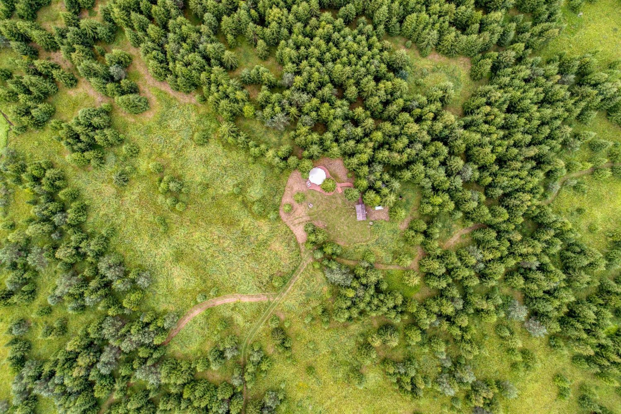 ホテル Kuusehaldja Glamping Kohila エクステリア 写真